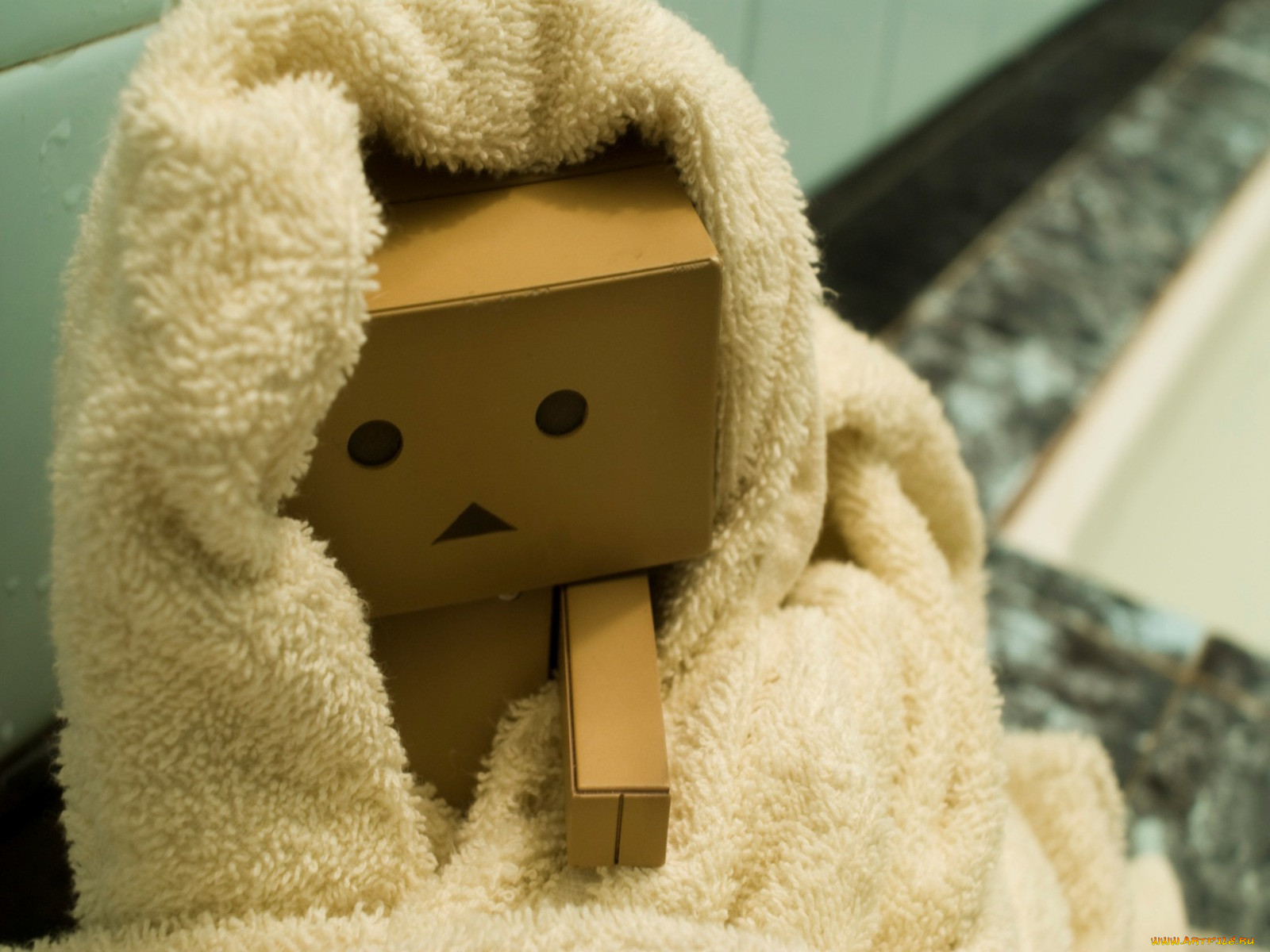 , , danboard